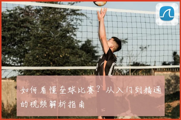 如何看懂垒球比赛?从入门到精通的视频解析指南