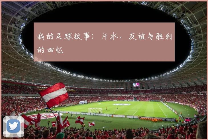 我的足球故事:汗水、友谊与胜利的回忆